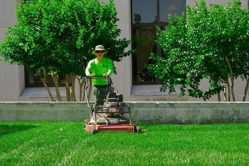 lawn care services