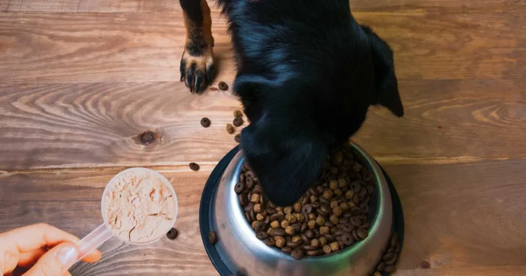 Diatomaceous Earth for Dogs