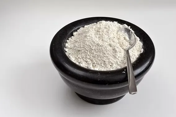 Diatomaceous Earth for Dogs