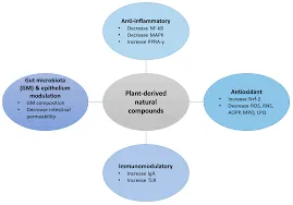 Intestinal Parasites