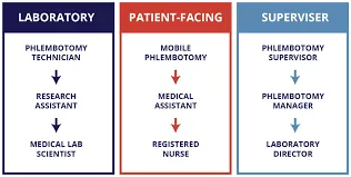 Phlebotomist in London