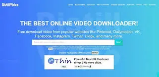 Free Online Video Downloader