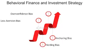 Expert Guidance in Investing