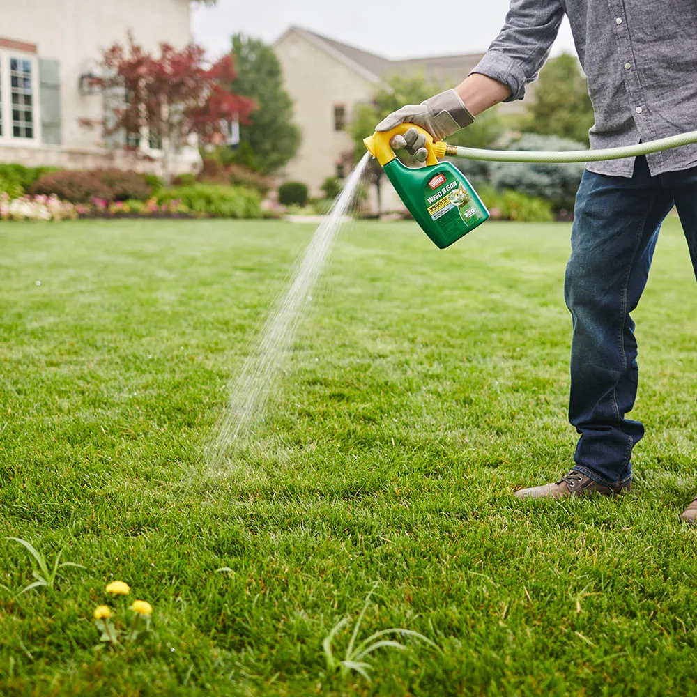 lawn care services