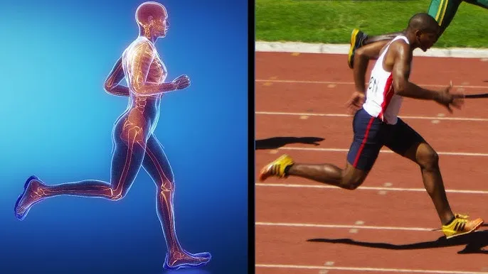 Pre-Workout Supplements