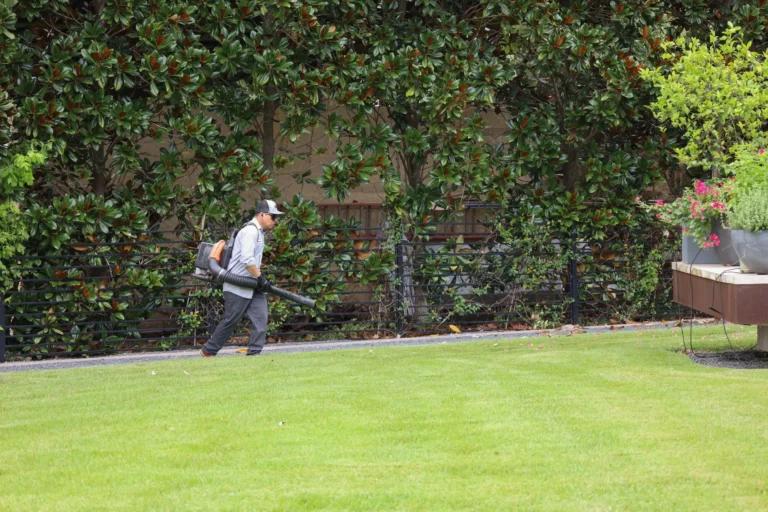 expert lawn care services