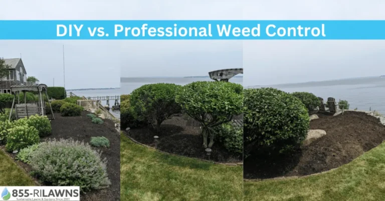 Professional Weed Control