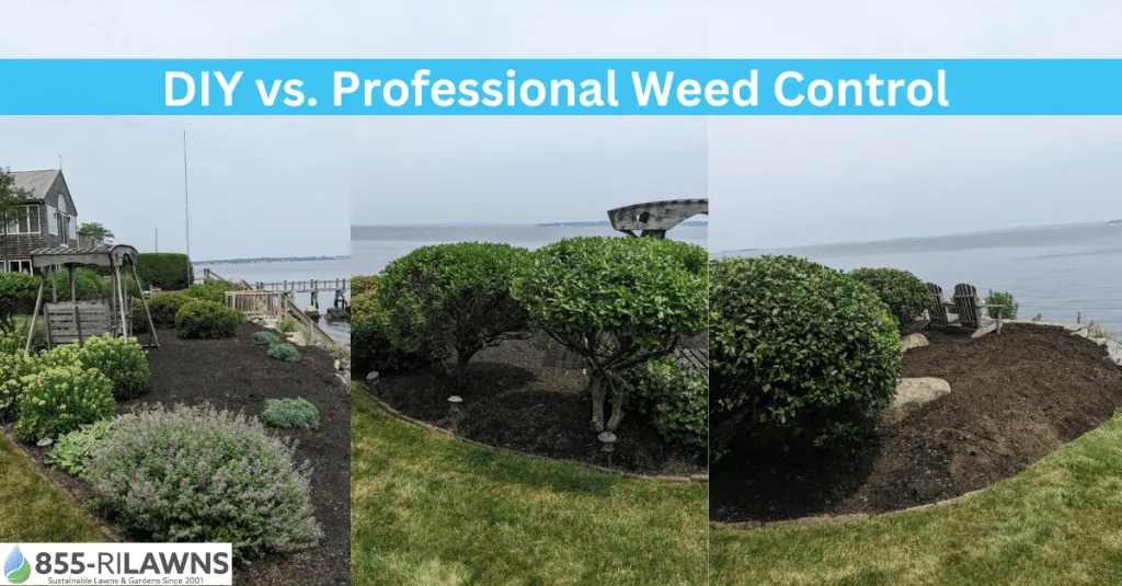 professional-weed-control