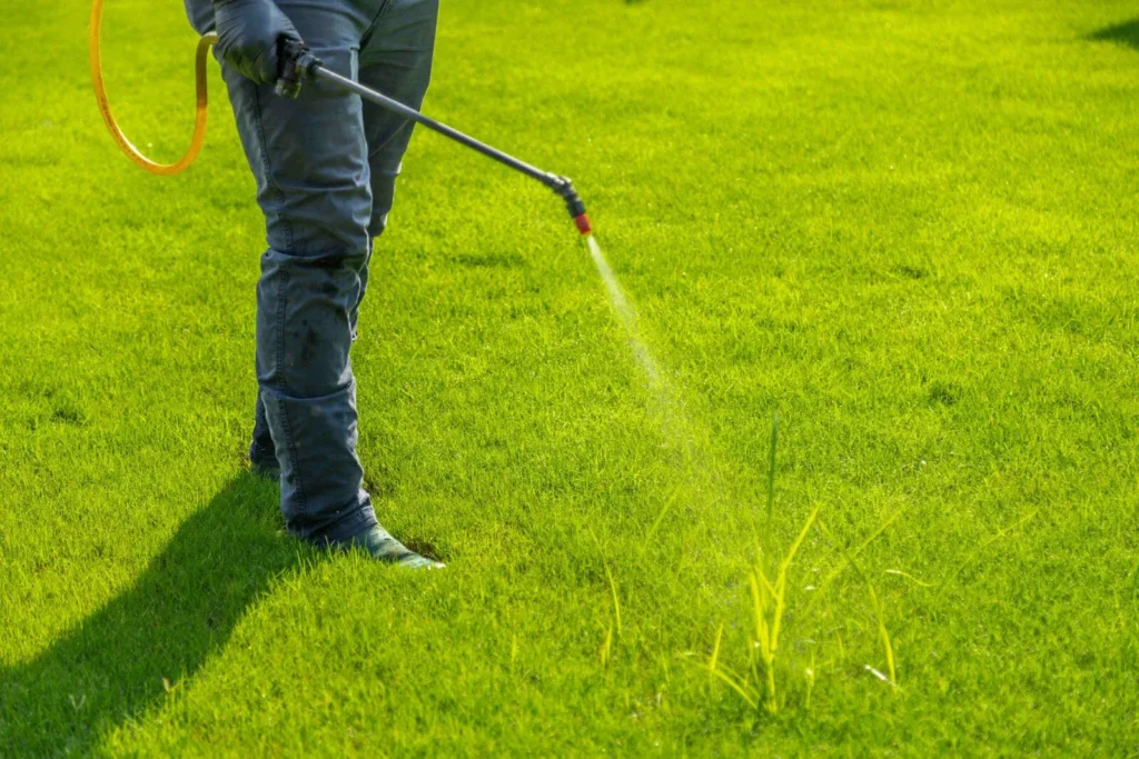lawn care service in Sterling Heights