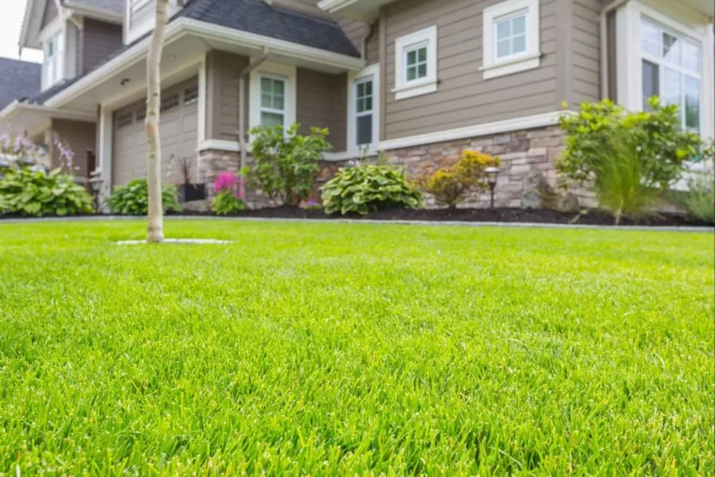lawn care service in Sterling Heights