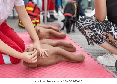 pet CPR and first aid certification