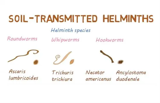 Helminth infections
