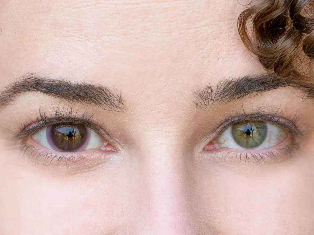 daily contact lenses