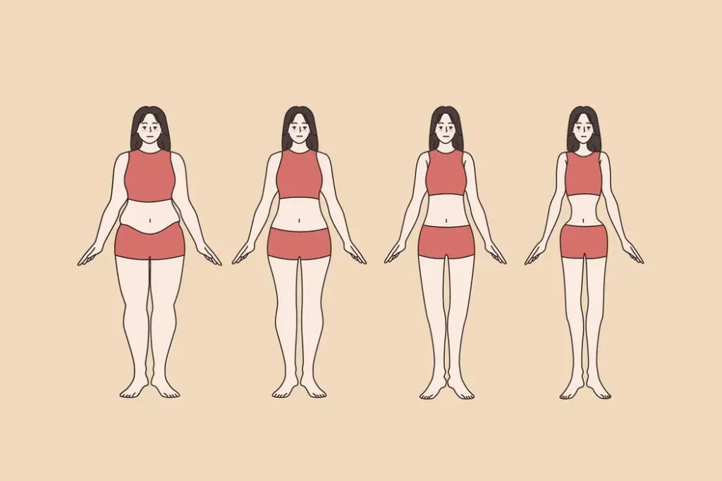 BMI BMR calorie calculator