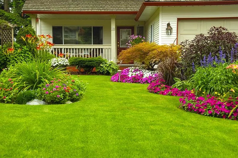 lawn care services in Grand Rapids
