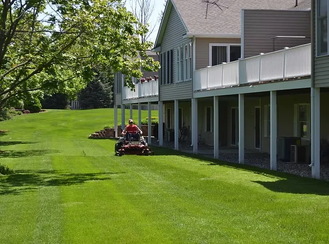 lawn care services in Grand Rapids