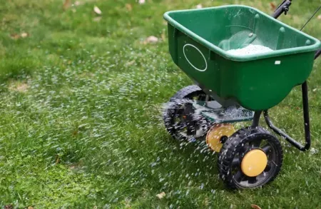 lawn care services in Grand Rapids